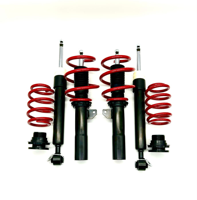 Raceland Mini F56 Coilovers 2014-2022 (without electronic damping)