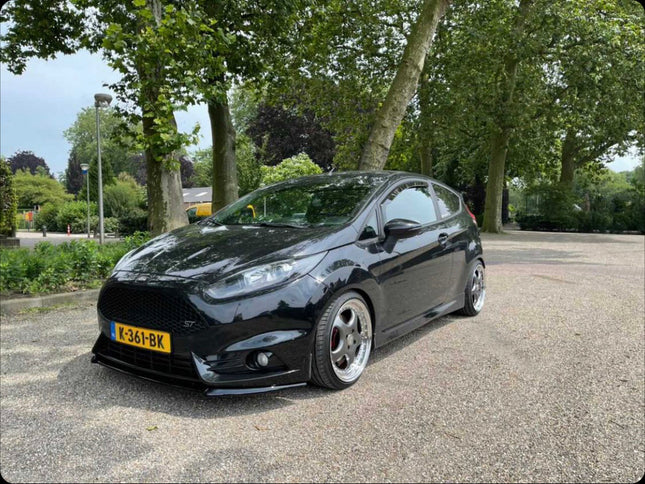 Raceland Ford Fiesta MK7 Coilovers (JA8)