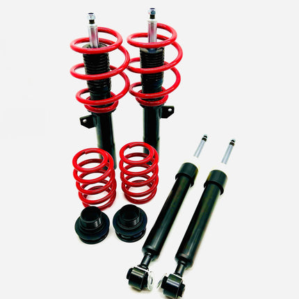 Raceland Mini F56 Coilovers 2014-2022 (without electronic damping)