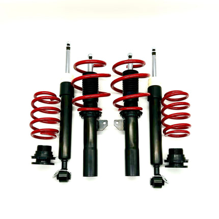 Raceland Mini F55 Coilovers 2014-2022 (without electronic damping)