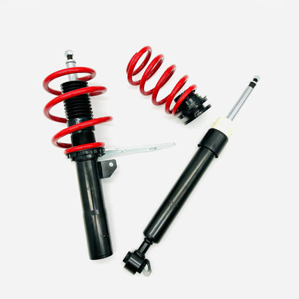 Raceland Mini F55 Coilovers 2014-2022 (without electronic damping)