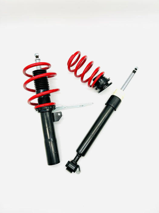 Raceland Mini F55 Coilovers 2014-2022 (without electronic damping)