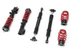 Raceland Ford Fiesta MK7 Coilovers (JA8)